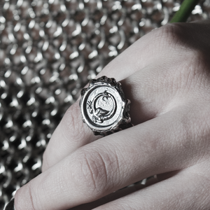 Anillo Ouroboros ○𓆙 - A pedido en tu talla